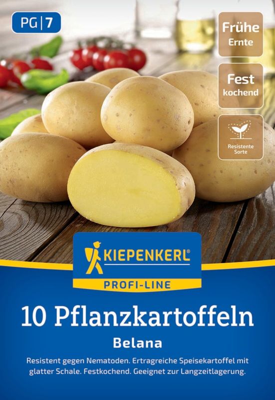 KIEPENKERL PROFI LINE Pflanzkartoffel 'Belana', festkochend, 10 Stück - Gallerie Bild 1